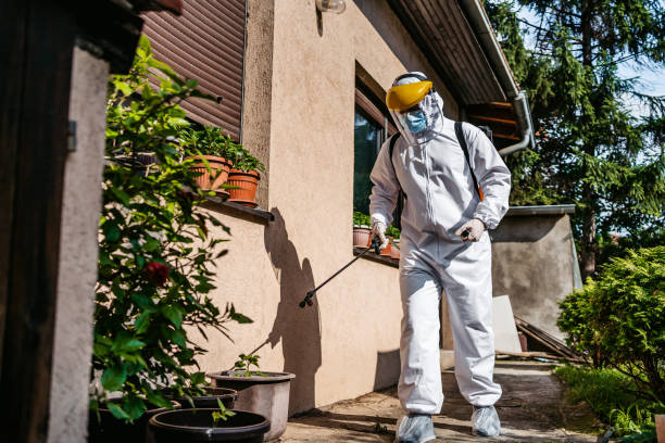 Best Flea Control Services  in Keeseville, NY