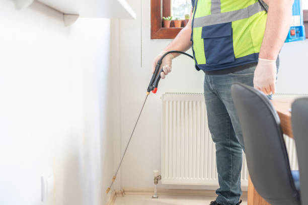 Best Pest Inspection Near Me  in Keeseville, NY