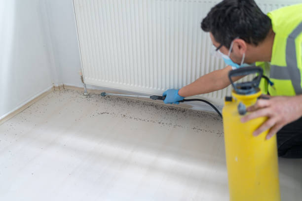 Best Wasp Removal Services  in Keeseville, NY