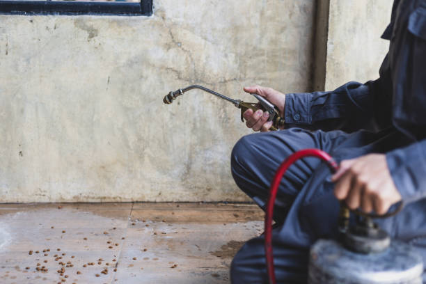 Best Local Pest Control Services  in Keeseville, NY